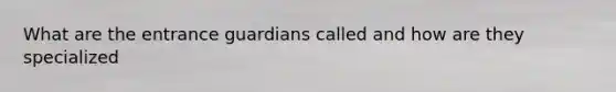 What are the entrance guardians called and how are they specialized