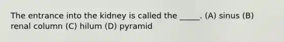 The entrance into the kidney is called the _____. (A) sinus (B) renal column (C) hilum (D) pyramid