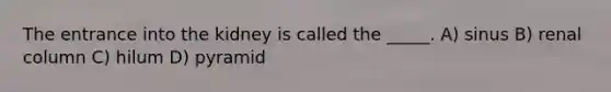 The entrance into the kidney is called the _____. A) sinus B) renal column C) hilum D) pyramid