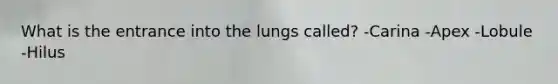 What is the entrance into the lungs called? -Carina -Apex -Lobule -Hilus