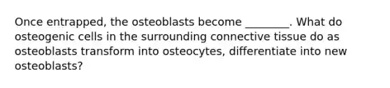 Once entrapped, the osteoblasts become ________. What do osteogenic cells in the surrounding <a href='https://www.questionai.com/knowledge/kYDr0DHyc8-connective-tissue' class='anchor-knowledge'>connective tissue</a> do as osteoblasts transform into osteocytes, differentiate into new osteoblasts?