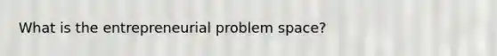 What is the entrepreneurial problem space?