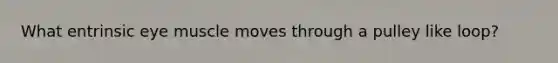 What entrinsic eye muscle moves through a pulley like loop?