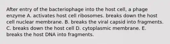 After entry of the bacteriophage into the host cell, a phage enzyme A. activates host cell ribosomes. breaks down the host cell nuclear membrane. B. breaks the viral capsid into fragments. C. breaks down the host cell D. cytoplasmic membrane. E. breaks the host DNA into fragments.