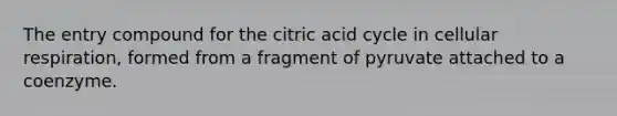 The entry compound for the citric acid cycle in cellular respiration, formed from a fragment of pyruvate attached to a coenzyme.