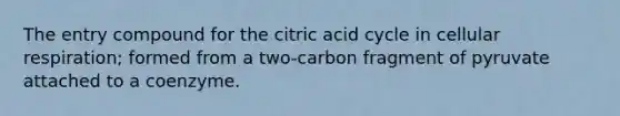 The entry compound for the citric acid cycle in cellular respiration; formed from a two-carbon fragment of pyruvate attached to a coenzyme.