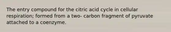 The entry compound for the citric acid cycle in cellular respiration; formed from a two- carbon fragment of pyruvate attached to a coenzyme.