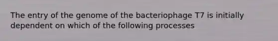 The entry of the genome of the bacteriophage T7 is initially dependent on which of the following processes