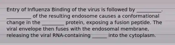 Entry of Influenza Binding of the virus is followed by __________. __________ of the resulting endosome causes a conformational change in the _________ protein, exposing a fusion peptide. The viral envelope then fuses with the endosomal membrane, releasing the viral RNA-containing ______ into the cytoplasm.