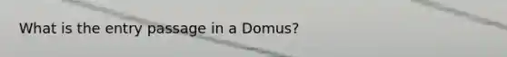 What is the entry passage in a Domus?