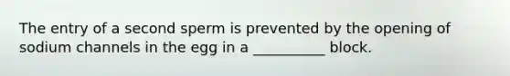 The entry of a second sperm is prevented by the opening of sodium channels in the egg in a __________ block.