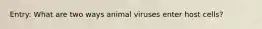 Entry: What are two ways animal viruses enter host cells?