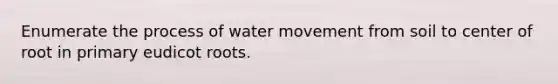 Enumerate the process of water movement from soil to center of root in primary eudicot roots.