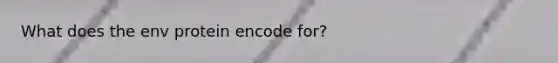 What does the env protein encode for?