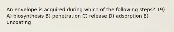 An envelope is acquired during which of the following steps? 19) A) biosynthesis B) penetration C) release D) adsorption E) uncoating