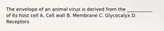 The envelope of an animal virus is derived from the ___________ of its host cell A. Cell wall B. Membrane C. Glycocalyx D. Receptors