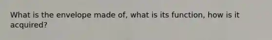 What is the envelope made of, what is its function, how is it acquired?