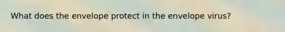 What does the envelope protect in the envelope virus?