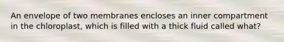 An envelope of two membranes encloses an inner compartment in the chloroplast, which is filled with a thick fluid called what?