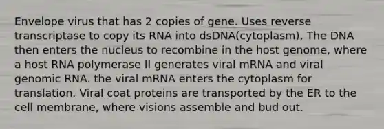 Envelope virus that has 2 copies of gene. Uses reverse transcriptase to copy its RNA into dsDNA(cytoplasm), The DNA then enters the nucleus to recombine in the host genome, where a host RNA polymerase II generates viral mRNA and viral genomic RNA. the viral mRNA enters the cytoplasm for translation. Viral coat proteins are transported by the ER to the cell membrane, where visions assemble and bud out.