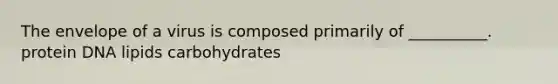 The envelope of a virus is composed primarily of __________. protein DNA lipids carbohydrates