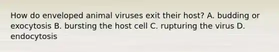 How do enveloped animal viruses exit their host? A. budding or exocytosis B. bursting the host cell C. rupturing the virus D. endocytosis