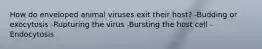 How do enveloped animal viruses exit their host? -Budding or exocytosis -Rupturing the virus -Bursting the host cell -Endocytosis