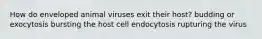 How do enveloped animal viruses exit their host? budding or exocytosis bursting the host cell endocytosis rupturing the virus