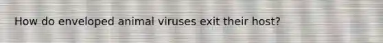 How do enveloped animal viruses exit their host?