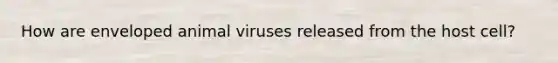 How are enveloped animal viruses released from the host cell?