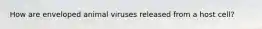 How are enveloped animal viruses released from a host cell?