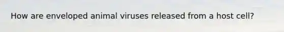 How are enveloped animal viruses released from a host cell?