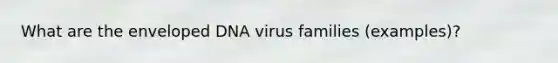 What are the enveloped DNA virus families (examples)?