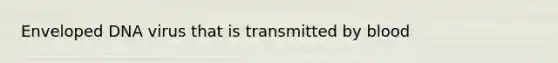 Enveloped DNA virus that is transmitted by blood