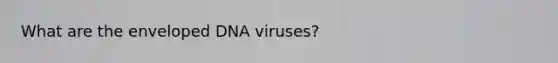 What are the enveloped DNA viruses?