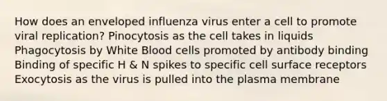 How does an enveloped influenza virus enter a cell to promote viral replication? Pinocytosis as the cell takes in liquids Phagocytosis by White Blood cells promoted by antibody binding Binding of specific H & N spikes to specific cell surface receptors Exocytosis as the virus is pulled into the plasma membrane