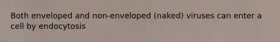 Both enveloped and non-enveloped (naked) viruses can enter a cell by endocytosis