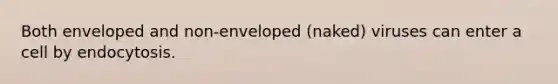 Both enveloped and non-enveloped (naked) viruses can enter a cell by endocytosis.