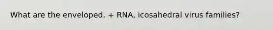 What are the enveloped, + RNA, icosahedral virus families?