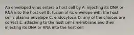 An enveloped virus enters a host cell by A. injecting its DNA or RNA into the host cell B. fusion of its envelope with the host cell's plasma envelope C. endocytosis D. any of the choices are correct E. attaching to the host cell's membrane and then injecting its DNA or RNA into the host cell