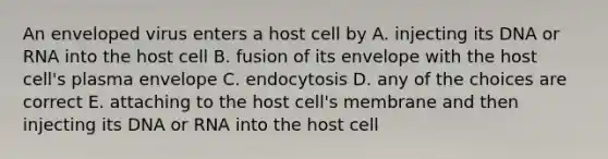 An enveloped virus enters a host cell by A. injecting its DNA or RNA into the host cell B. fusion of its envelope with the host cell's plasma envelope C. endocytosis D. any of the choices are correct E. attaching to the host cell's membrane and then injecting its DNA or RNA into the host cell