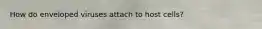 How do enveloped viruses attach to host cells?