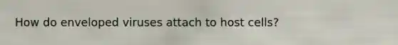 How do enveloped viruses attach to host cells?