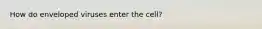 How do enveloped viruses enter the cell?