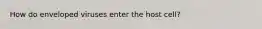 How do enveloped viruses enter the host cell?