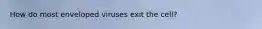 How do most enveloped viruses exit the cell?