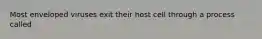 Most enveloped viruses exit their host cell through a process called