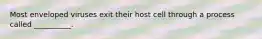 Most enveloped viruses exit their host cell through a process called __________.