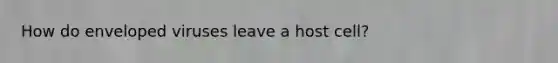 How do enveloped viruses leave a host cell?