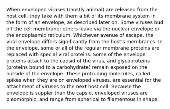 When enveloped viruses (mostly animal) are released from the host cell, they take with them a bit of its membrane system in the form of an envelope, as described later on. Some viruses bud off the cell membrane; others leave via the nuclear envelope or the endoplasmic reticulum. Whichever avenue of escape, the viral envelope differs significantly from the host's membranes. In the envelope, some or all of the regular membrane proteins are replaced with special viral proteins. Some of the envelope proteins attach to the capsid of the virus, and glycoproteins (proteins bound to a carbohydrate) remain exposed on the outside of the envelope. These protruding molecules, called spikes when they are on enveloped viruses, are essential for the attachment of viruses to the next host cell. Because the envelope is suppler than the capsid, enveloped viruses are pleomorphic, and range from spherical to filamentous in shape.